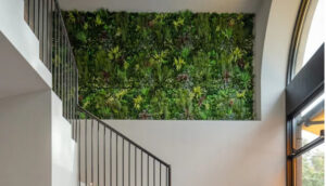 edwards & hill office space green walls