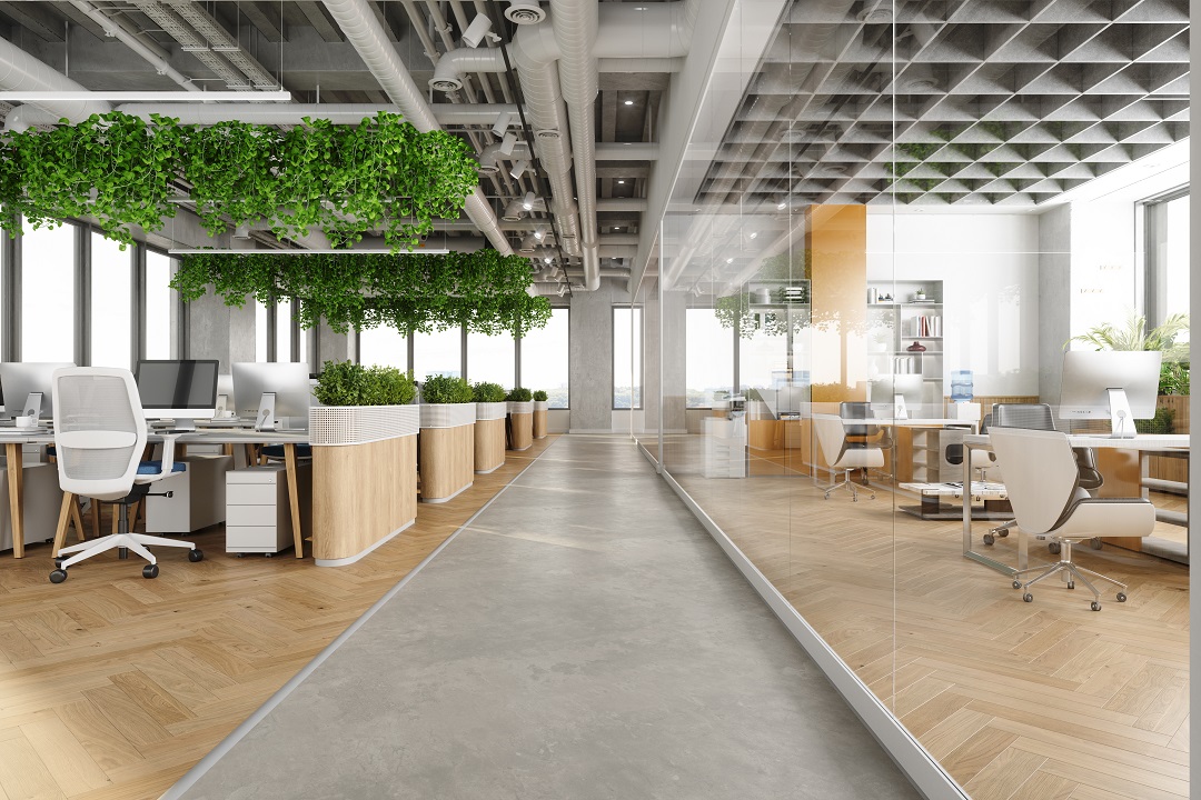 edwards & hill biophilic office design